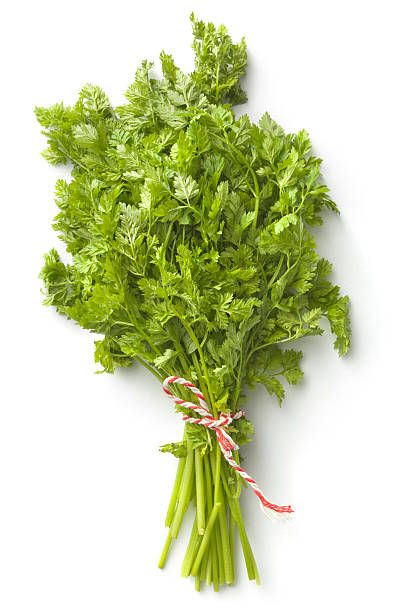 Chervil Herb (Anthriscus cerefolium)